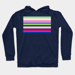 Bi Double Demi Genderfae Pride Flag Hoodie